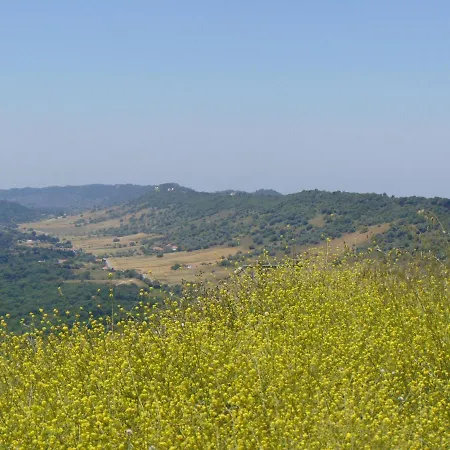 Apartamento Arrábida Apartment-pet Friendly